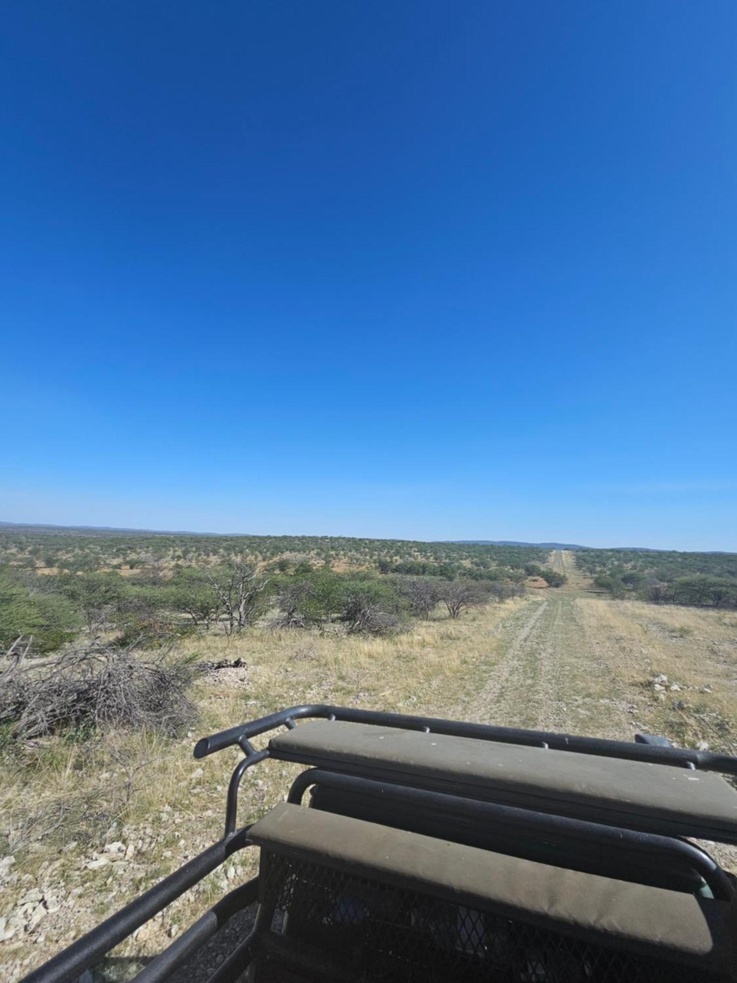 Kaoko Bush Lodge Kamanjab Eksteriør billede